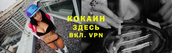 бошки Бронницы