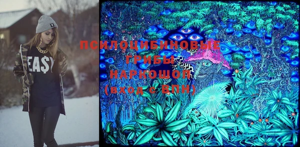 бошки Бронницы